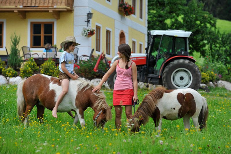 Ferienwohnung Almblick Unken 12